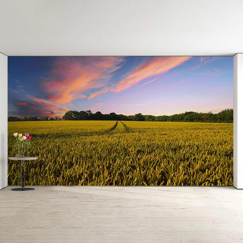 Modern Barley View Mural Wallpaper Light Color Wall Covering for Dining Room