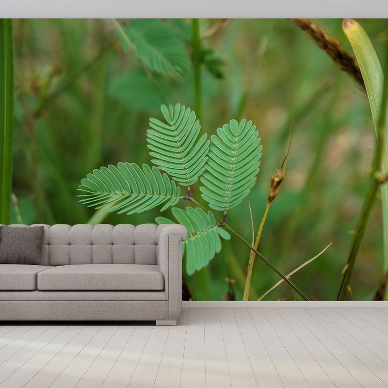 Contemporary Mimosa Home Mural Mildew Resistant Wall Decor for Bedroom