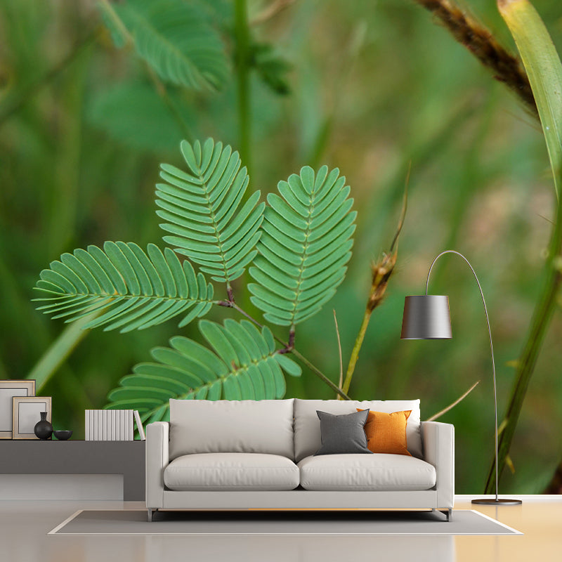 Contemporary Mimosa Home Mural Mildew Resistant Wall Decor for Bedroom