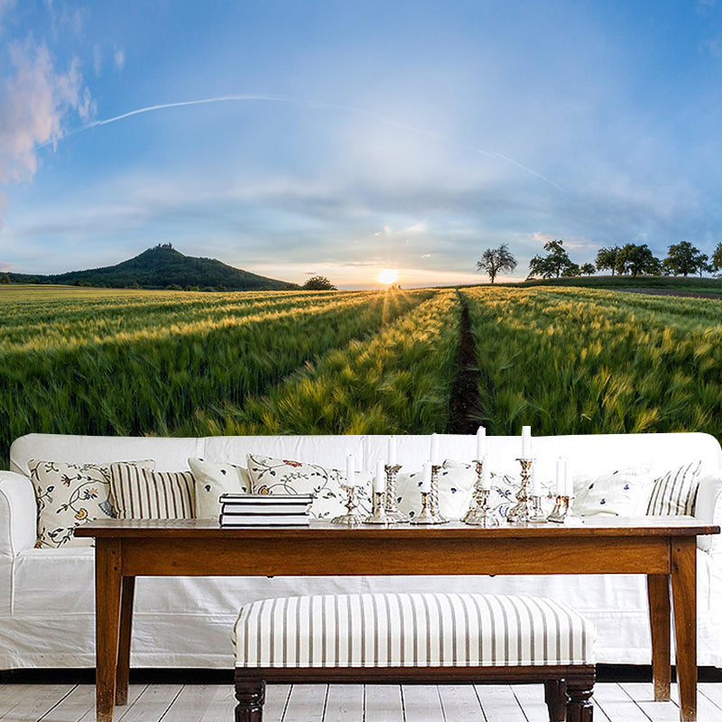 Relaxing Barley View Mural Wallpaper Pastel Color Modern Wall Covering for Drawing Room