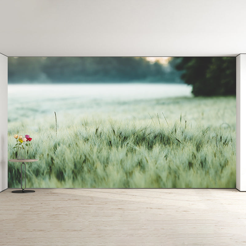 Relaxing Barley View Mural Wallpaper Pastel Color Modern Wall Covering for Drawing Room