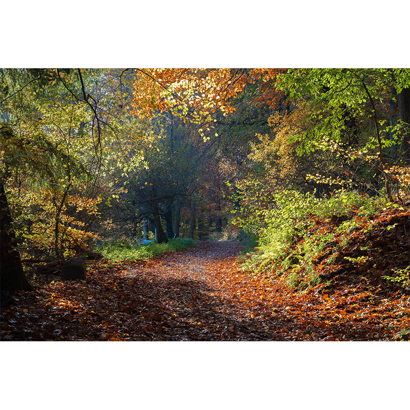 Contemporary Forest Landscape Home Mural Mildew Resistant Wall Decor for Bedroom