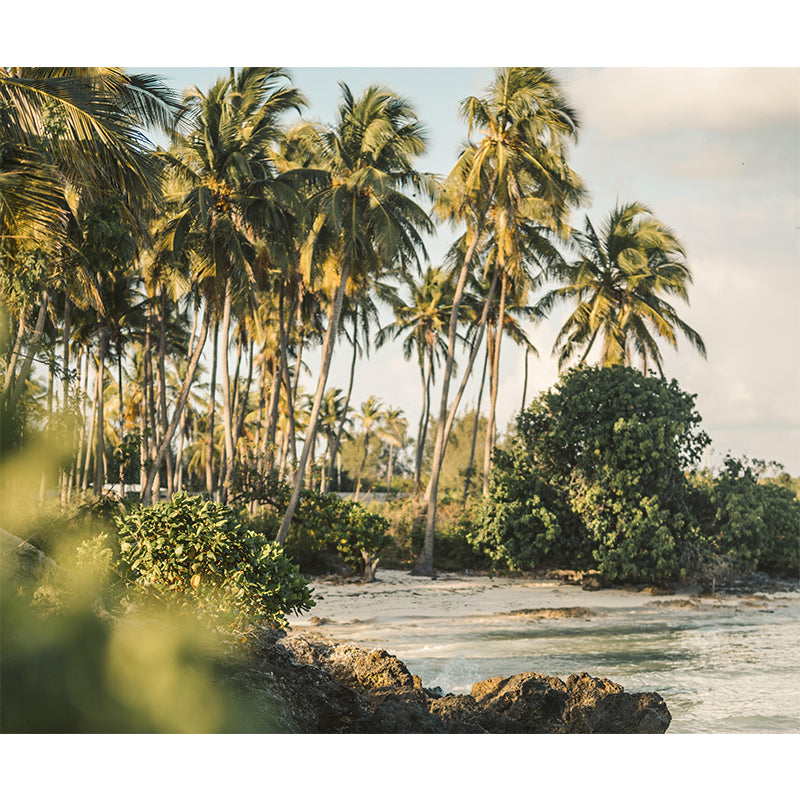 Modern Palm-Trees Landscape Mural Decorative Painting Bedroom Mural Painting