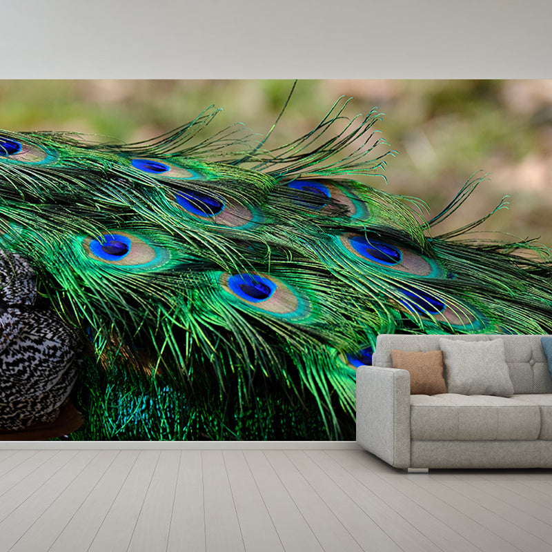 Tropical Peacock Feather Mural Stain Resistant Wall Art for Home Decor