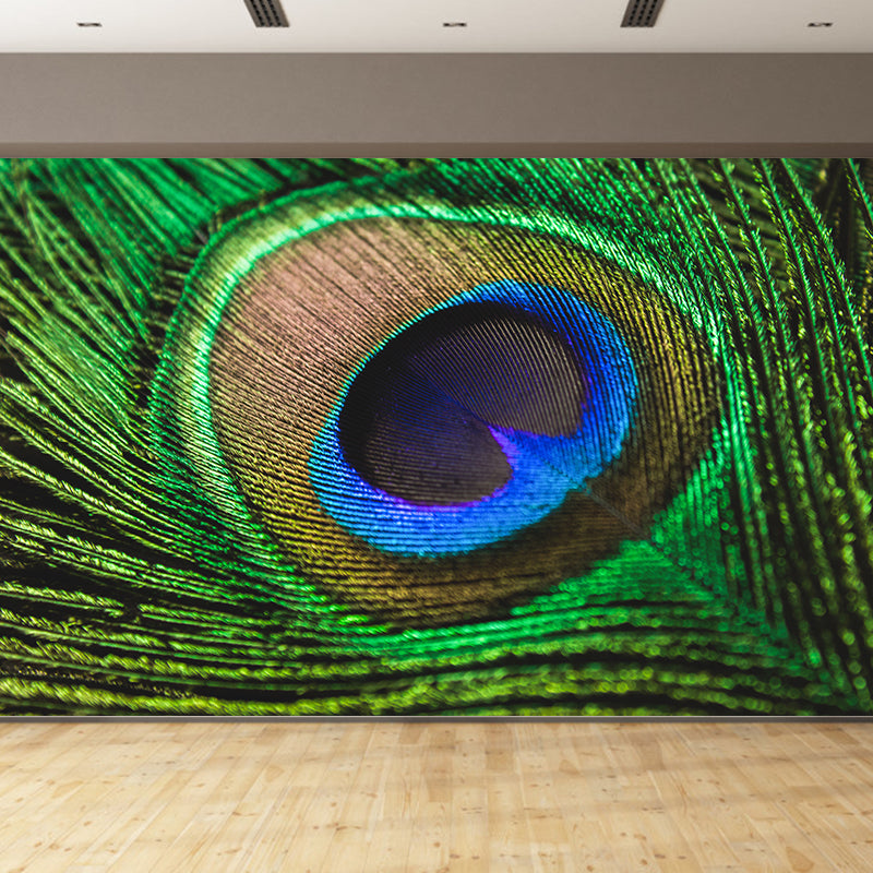 Tropical Peacock Feather Mural Stain Resistant Wall Art for Home Decor