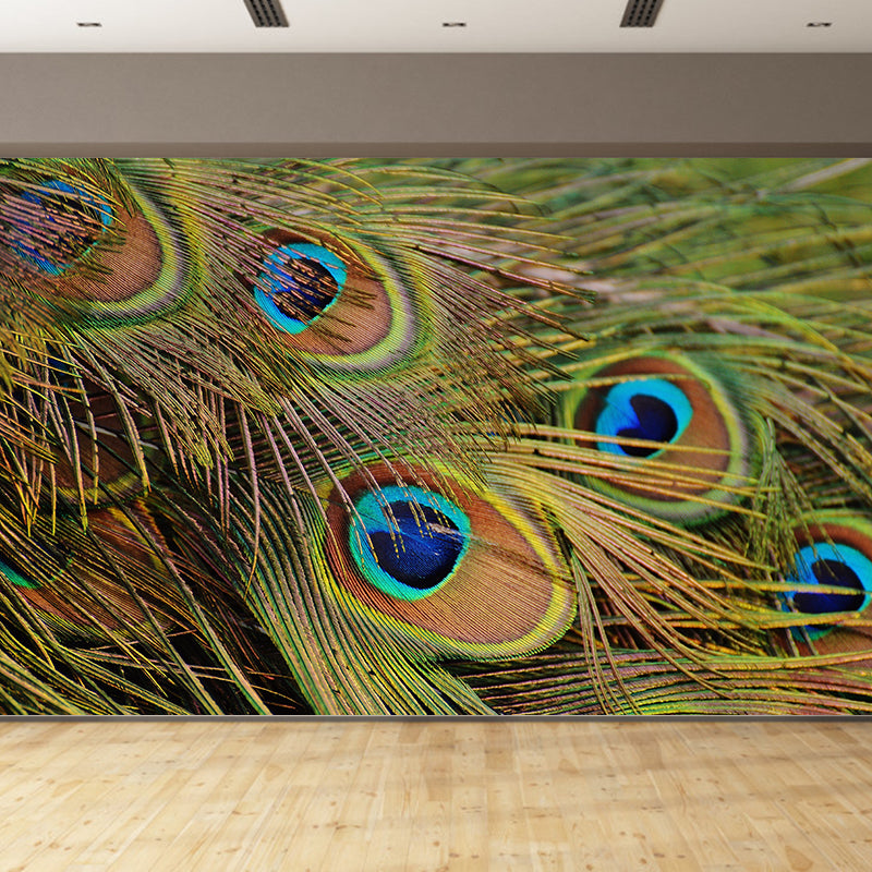Tropical Peacock Feather Mural Stain Resistant Wall Art for Home Decor