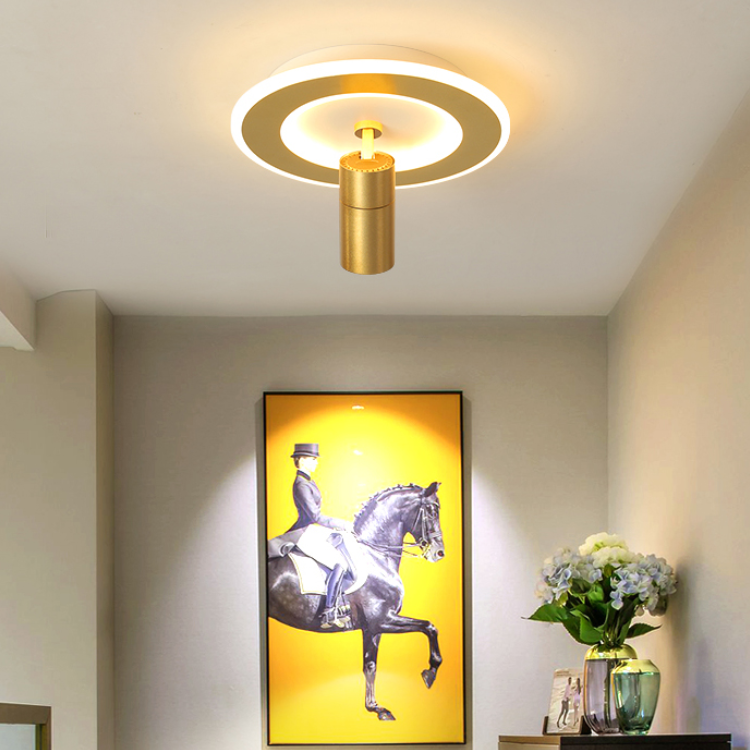 Modern LED Flush Mount 1 Spotlight Metal Ceiling Mounted Light for Hallway