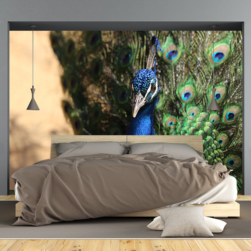 Blue Peacock Mural Wallpaper for Living Room Moisture Resistant, Custom Size