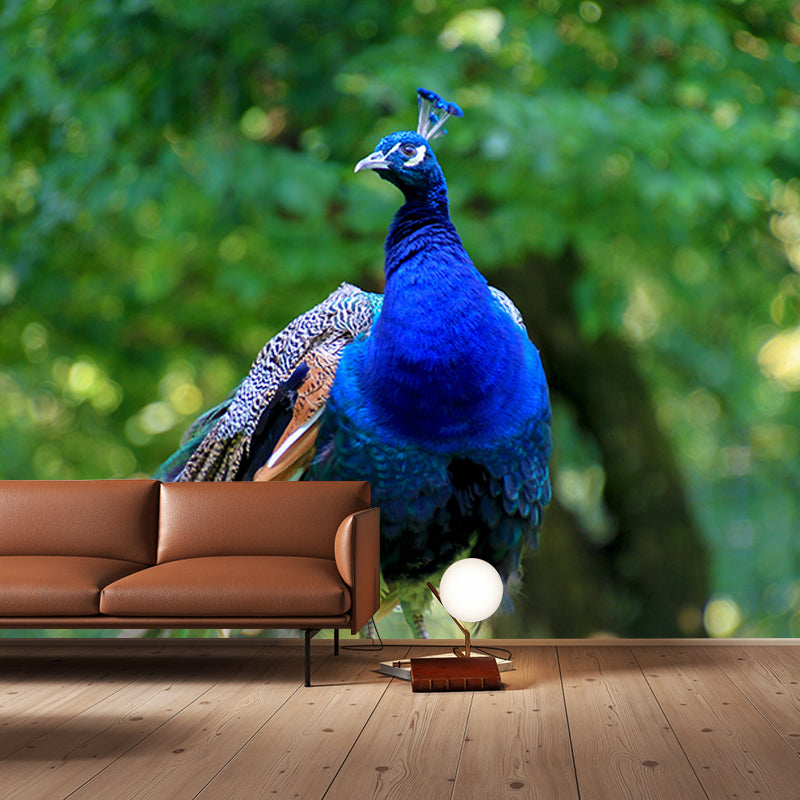 Blue Peacock Mural Wallpaper for Living Room Moisture Resistant, Custom Size