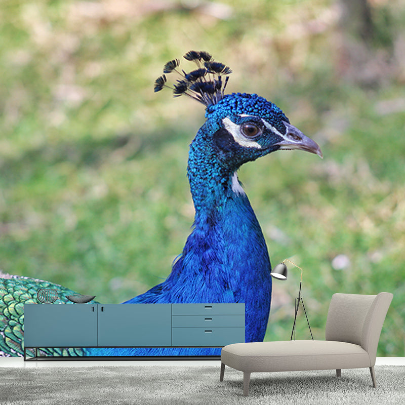 Blue Peacock Mural Wallpaper for Living Room Moisture Resistant, Custom Size