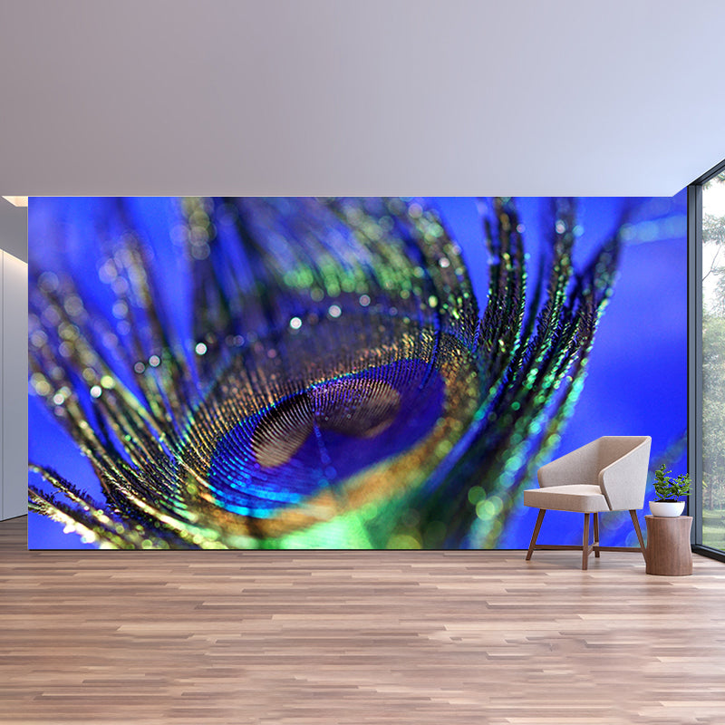 Photography Peacock Feather Mural Wallpaper Moisture Resistant for Sitting Room
