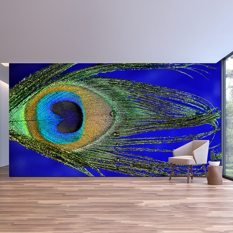 Photography Peacock Feather Mural Wallpaper Moisture Resistant for Sitting Room