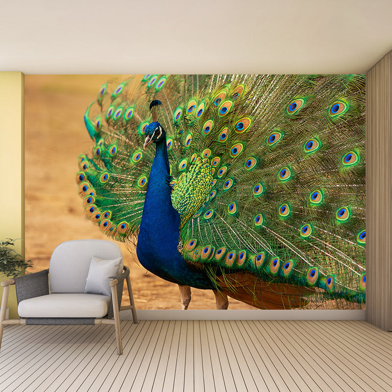 Decorative Blue Peacock Wall Murals Personalised Size Modern Wall Covering for Bedroom