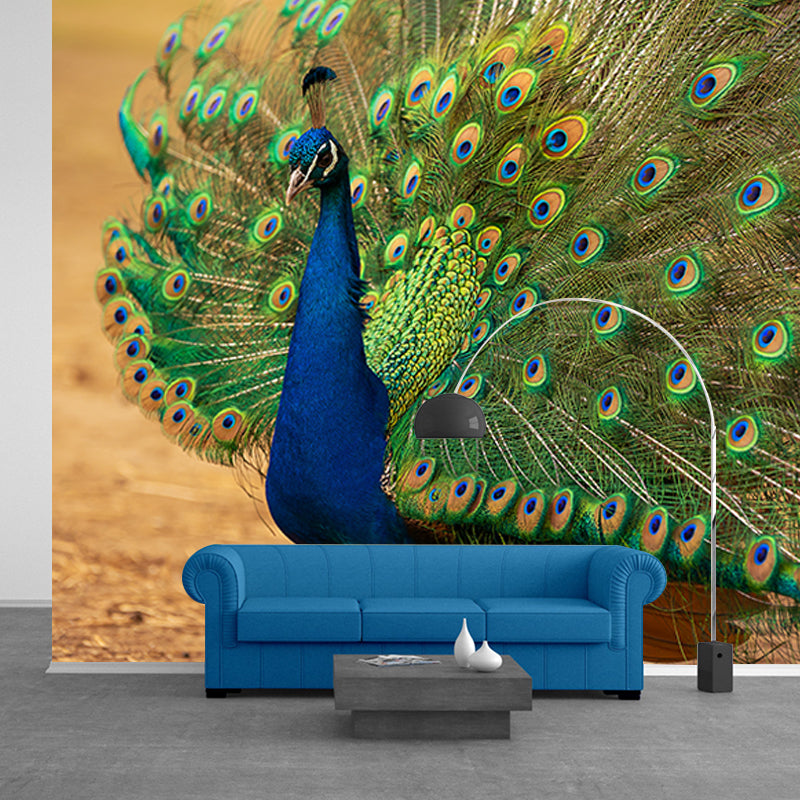 Decorative Blue Peacock Wall Murals Personalised Size Modern Wall Covering for Bedroom