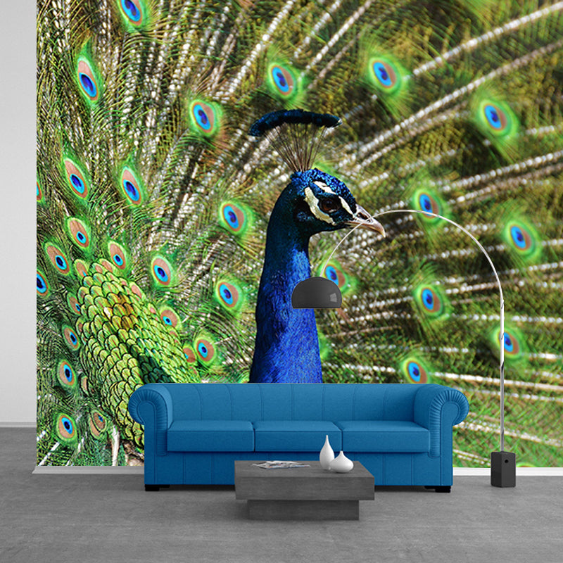 Decorative Blue Peacock Wall Murals Personalised Size Modern Wall Covering for Bedroom