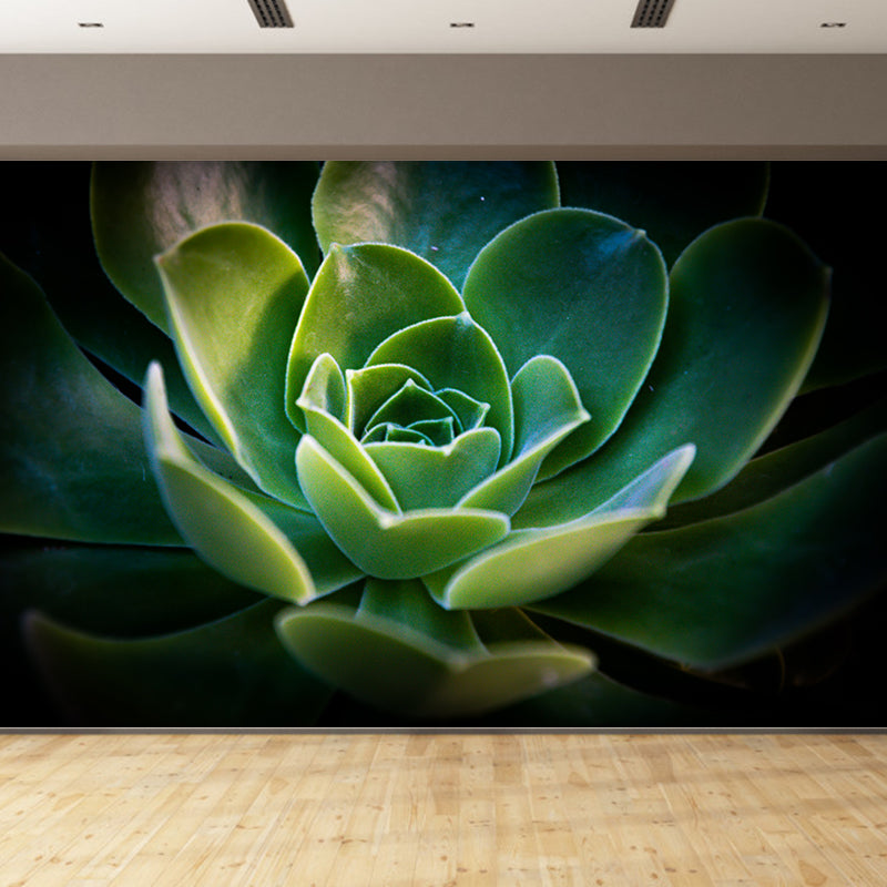 Succulent Plants Wall Mural for Modern Living Room Stain Resistant, Custom Size