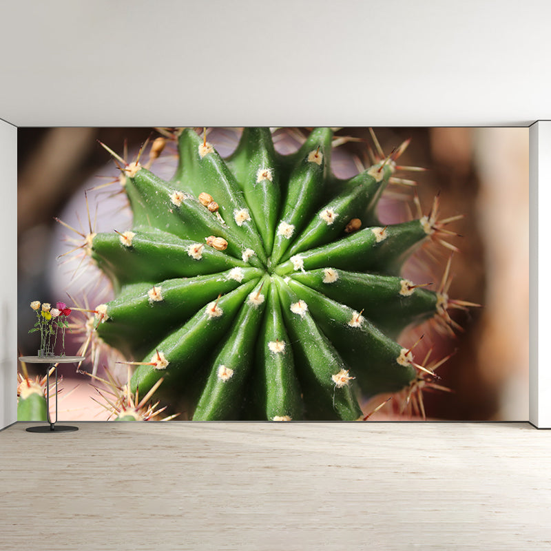 Green Plant Mural Wallpaper Home Decor Water Resistant Wallpaper for Dining Room