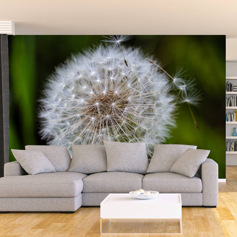 Dandelion Plant Mural Wallpaper Home Decor Water Resistant Wallpaper for Living Room