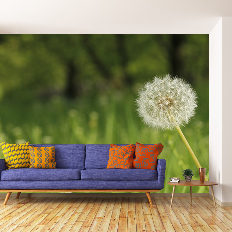 Dandelion Plant Mural Wallpaper Home Decor Water Resistant Wallpaper for Living Room