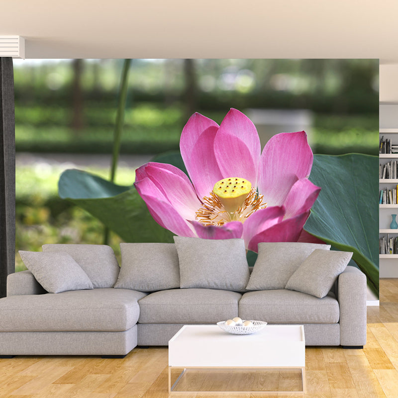 Lotus Flower Murals for Living Room Personalized Wall Decor, Moisture Resistant