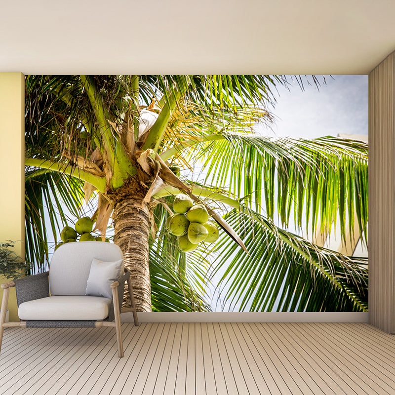 Tropical Trees Murals for Living Room, Water Resistant, Custom Size Available