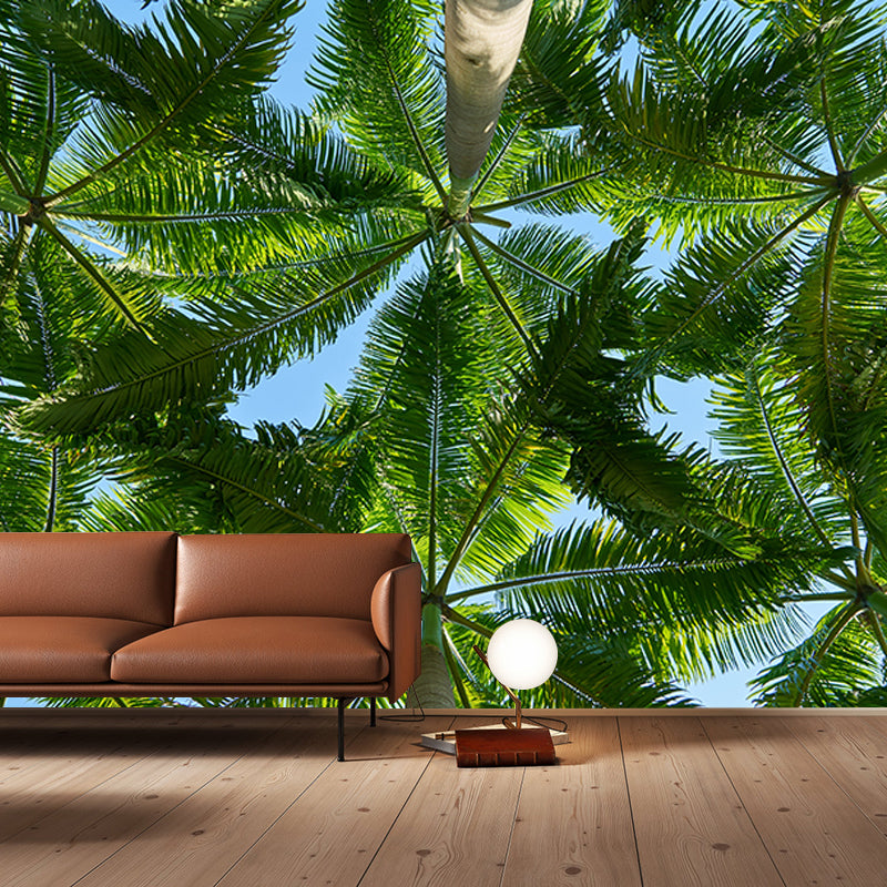 Tropical Trees Murals for Living Room, Water Resistant, Custom Size Available