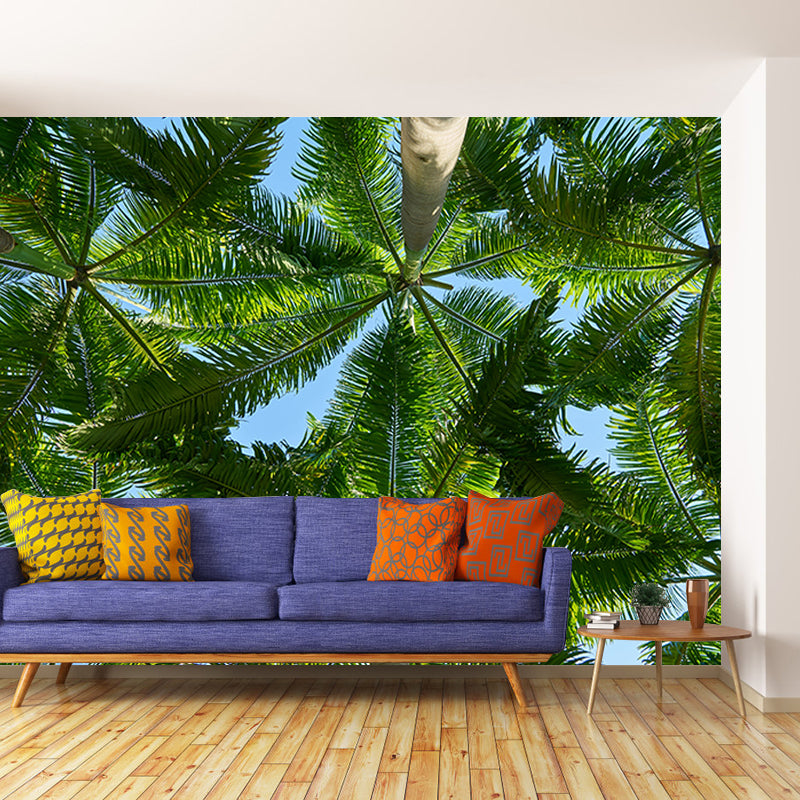 Tropical Trees Murals for Living Room, Water Resistant, Custom Size Available