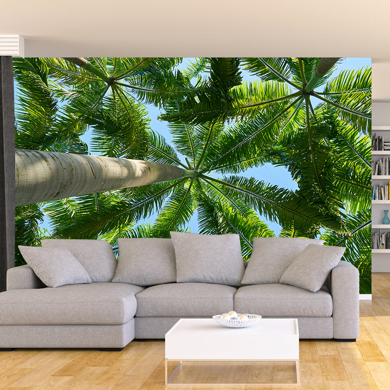 Tropical Trees Murals for Living Room, Water Resistant, Custom Size Available