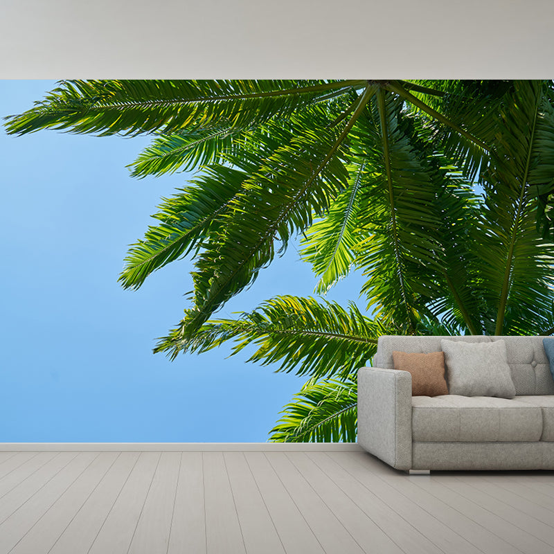 Tropical Trees Murals for Living Room, Water Resistant, Custom Size Available