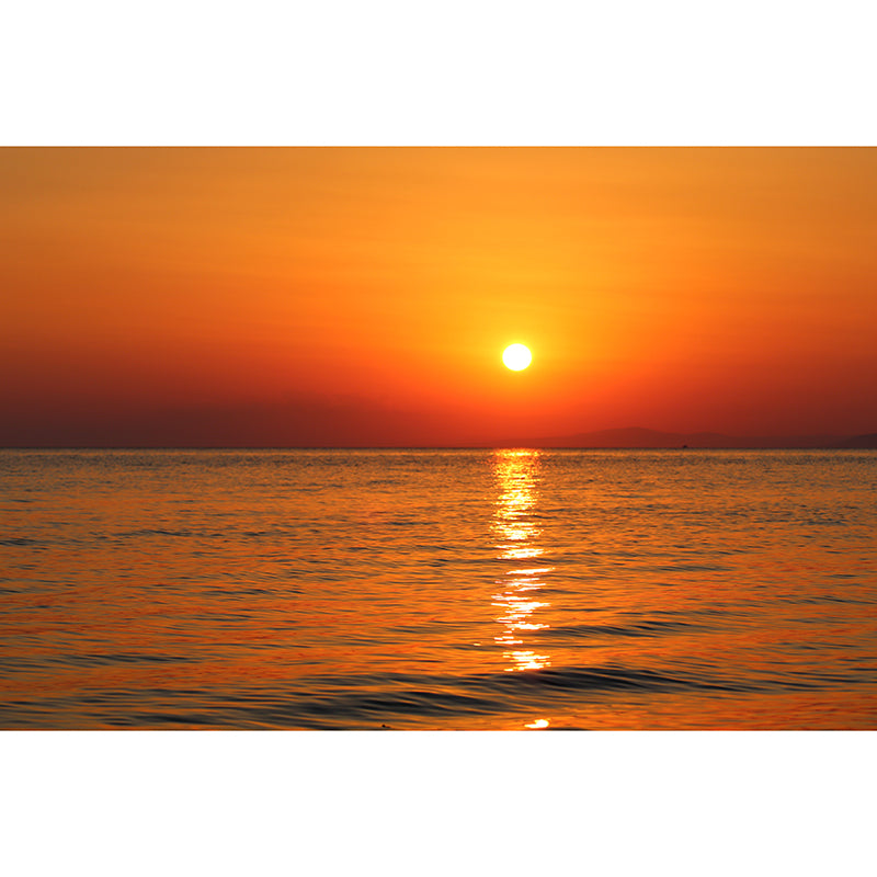 Sunrise And Sunset Wall Mural in Orange Living Room Wall Decor, Moisture Resistant