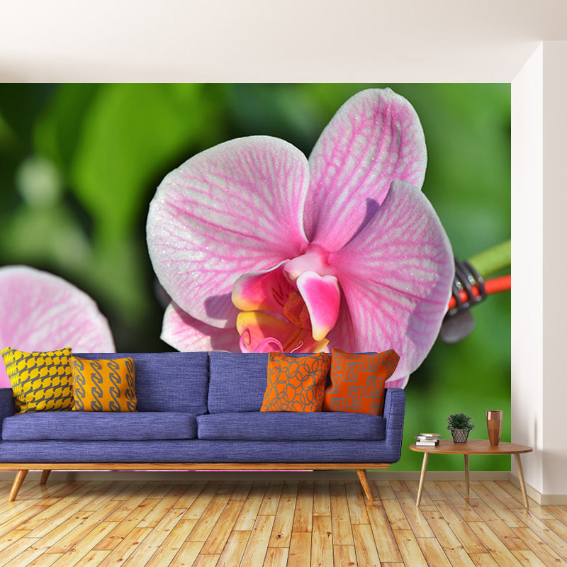 Beautiful Orchid Wallpaper Mural Water-Proof Living Room Wall Decoration