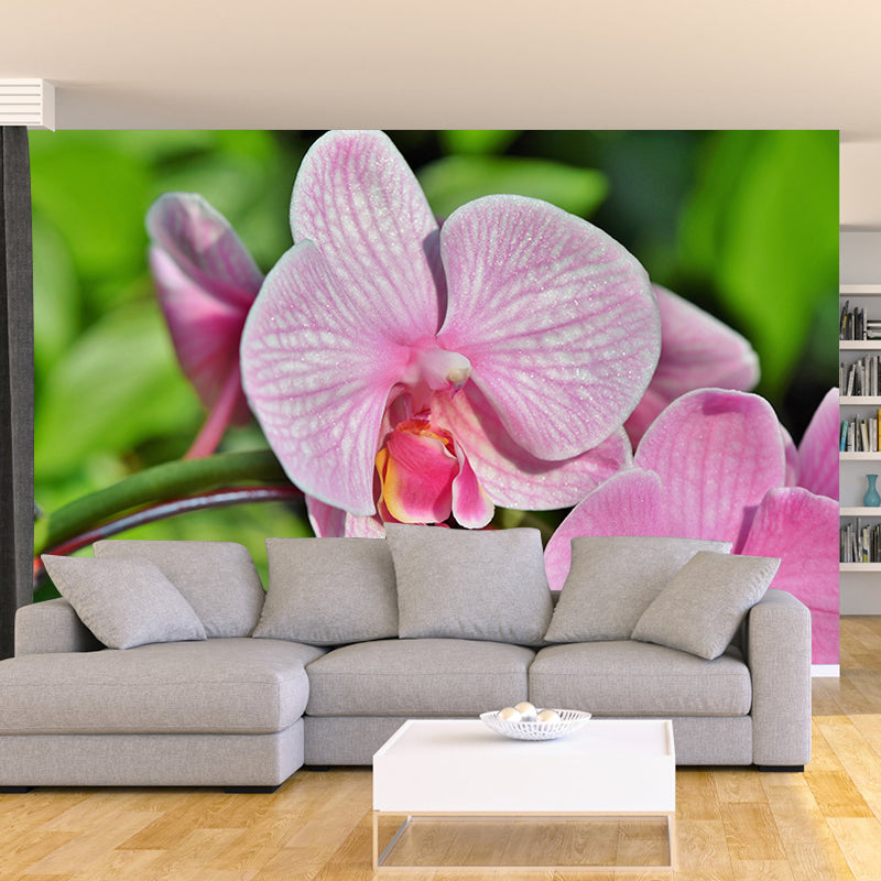 Beautiful Orchid Wallpaper Mural Water-Proof Living Room Wall Decoration