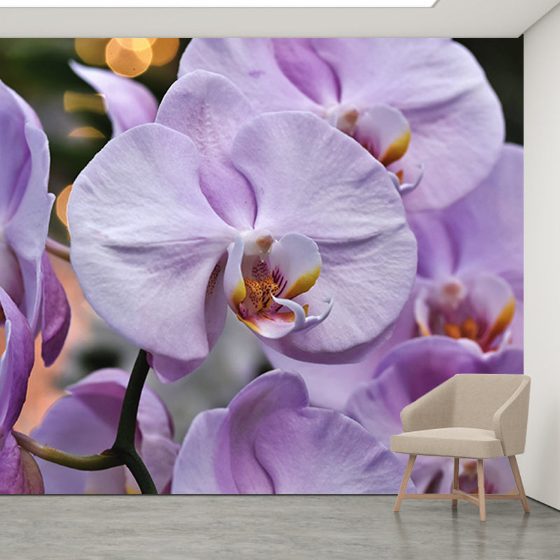 Beautiful Orchid Wallpaper Mural Water-Proof Living Room Wall Decoration