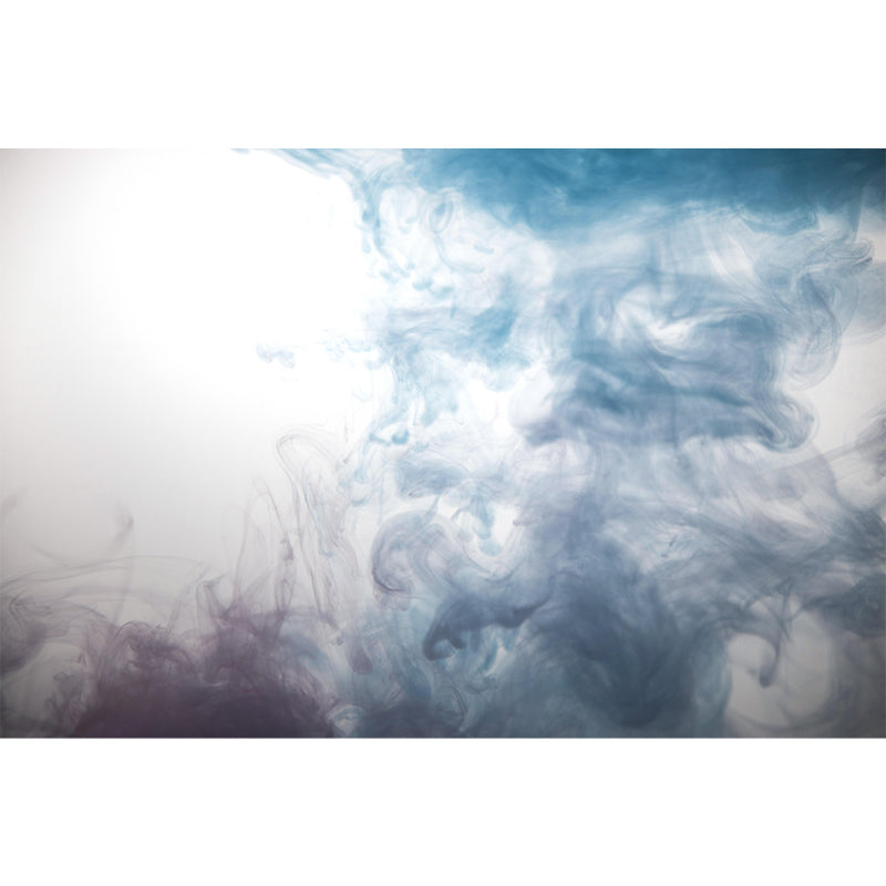 Horizontal Photography Ink Mobile Mural Abstract Environment Friendly Wall Art