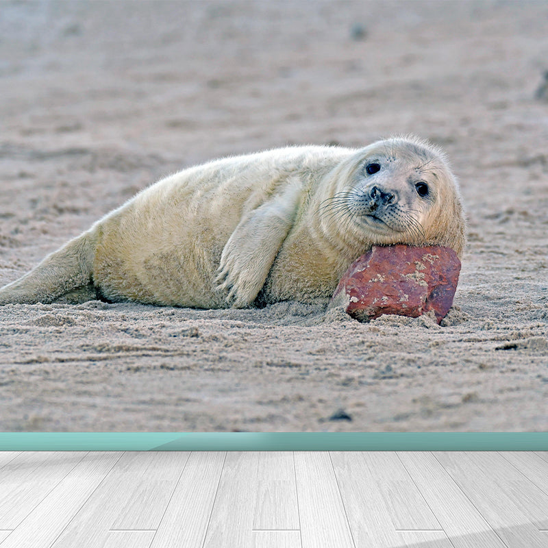 Lovely Seal Wall Paper Murals Contemporary Style Photography for Home Decor