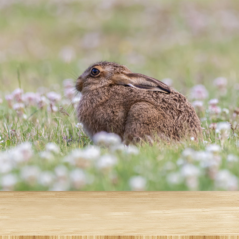 Customized Hare Wall Paper Murals Mildew Resistant Living Room Wall Decor