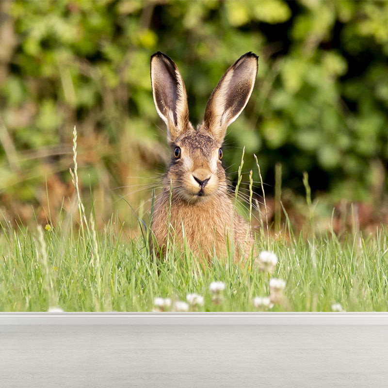 Customized Hare Wall Paper Murals Mildew Resistant Living Room Wall Decor