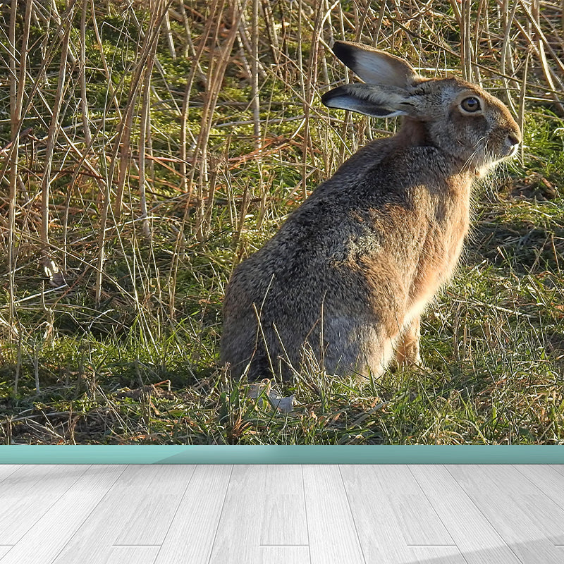 Customized Hare Wall Paper Murals Mildew Resistant Living Room Wall Decor