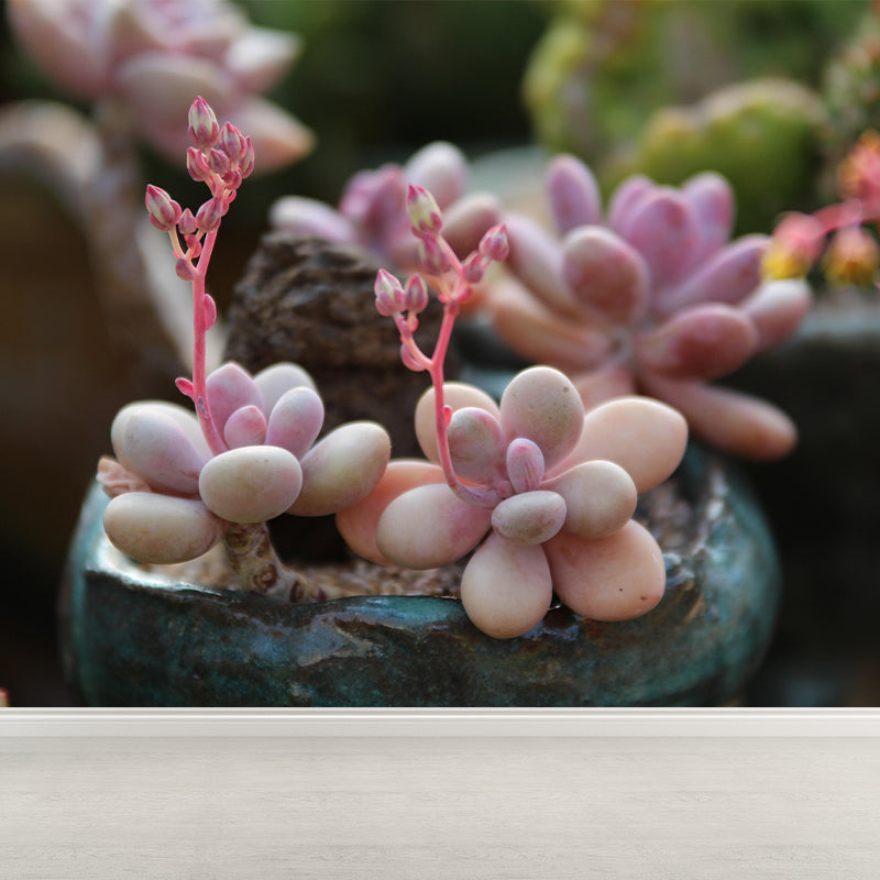 Modern Green Plant Wall Mural with Succulent Potted Plants Pattern for Bar Decoration