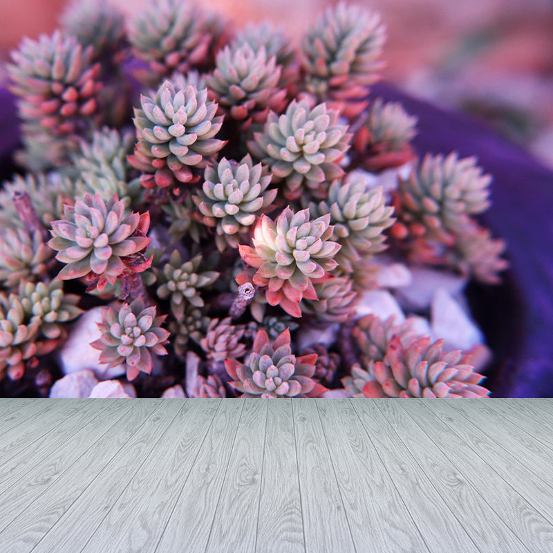 Modern Green Plant Wall Mural with Succulent Potted Plants Pattern for Bar Decoration