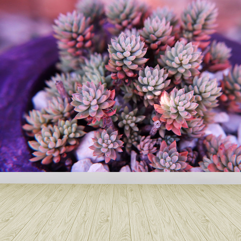 Modern Green Plant Wall Mural with Succulent Potted Plants Pattern for Bar Decoration