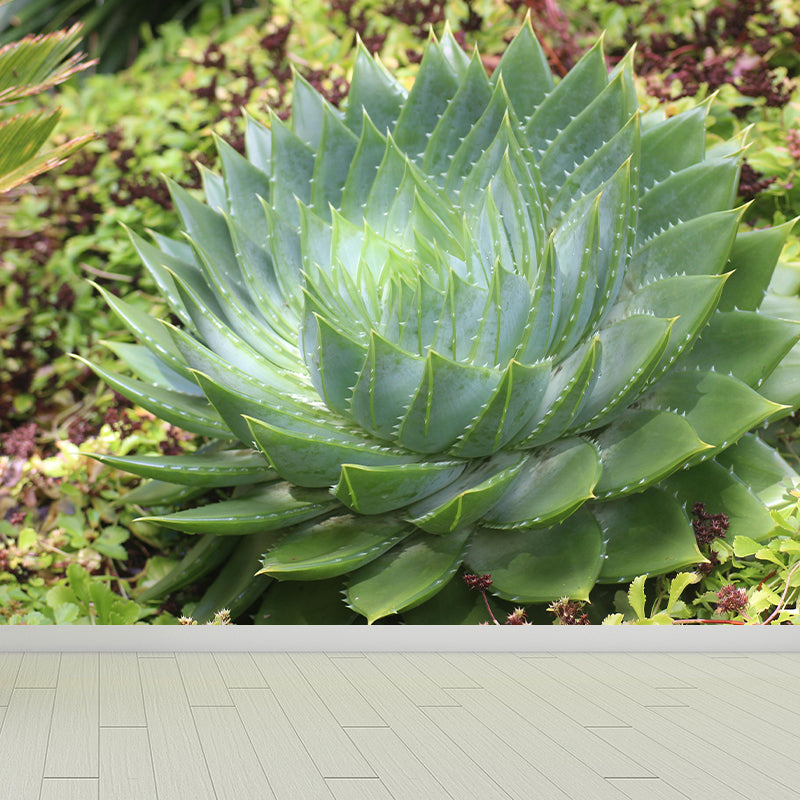 Green Plants Wall Mural Aloe Mildew Resistant Wall Art Decor for Office Home Apartment