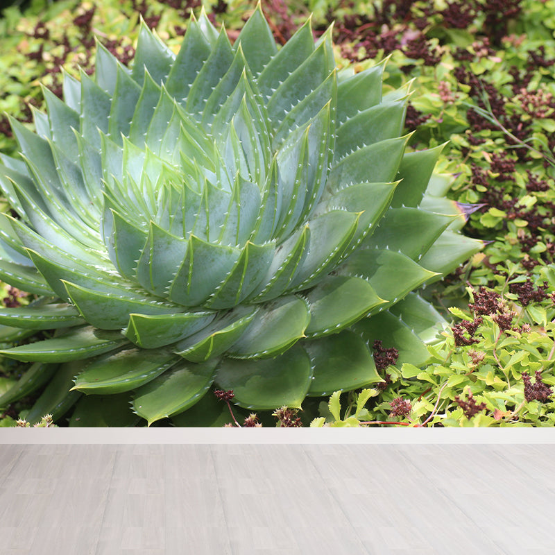 Green Plants Wall Mural Aloe Mildew Resistant Wall Art Decor for Office Home Apartment