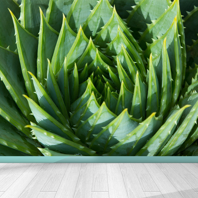 Green Plants Wall Mural Aloe Mildew Resistant Wall Art Decor for Office Home Apartment