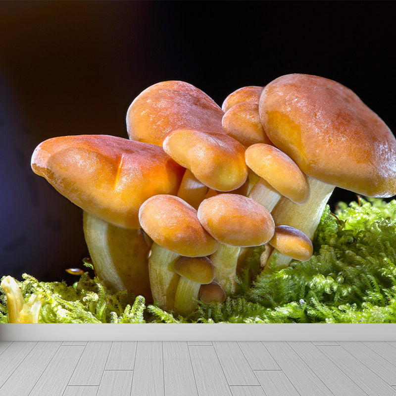 Mushroom Plant Modern Style Mural Environment Friendly Wallpaper for Home Decor