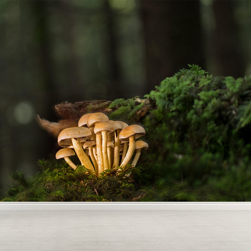 Mushroom Plant Modern Style Mural Environment Friendly Wallpaper for Home Decor