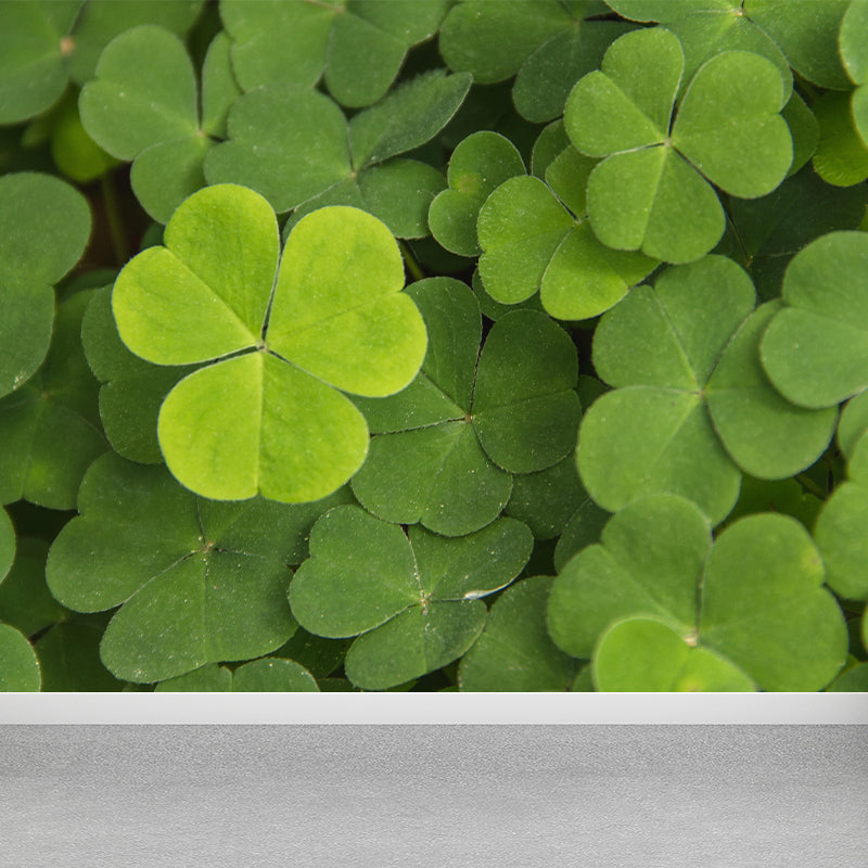 Contemporary Green Plant Wall Mural with Clover Pattern for Bar Decoration