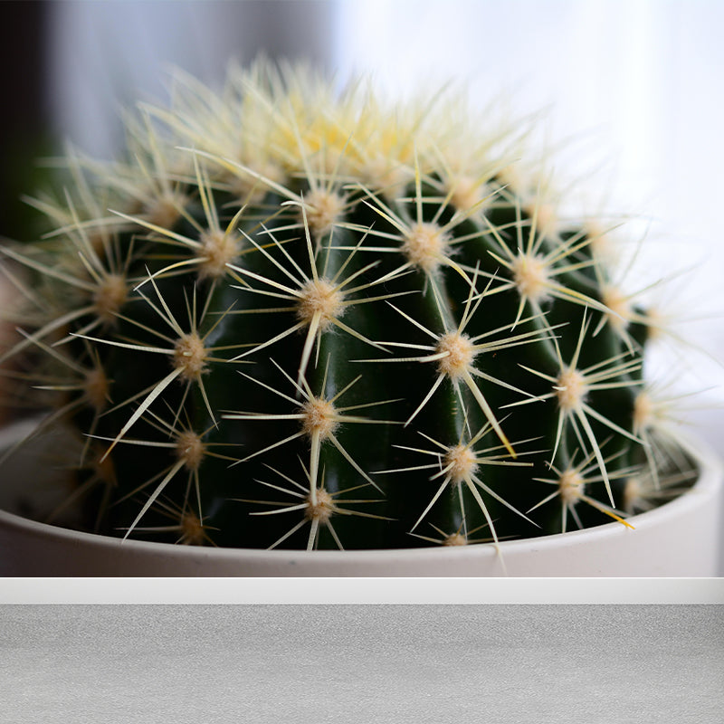 Modern Green Plant Wall Mural with Potted Cactus Pattern for Bar Decoration