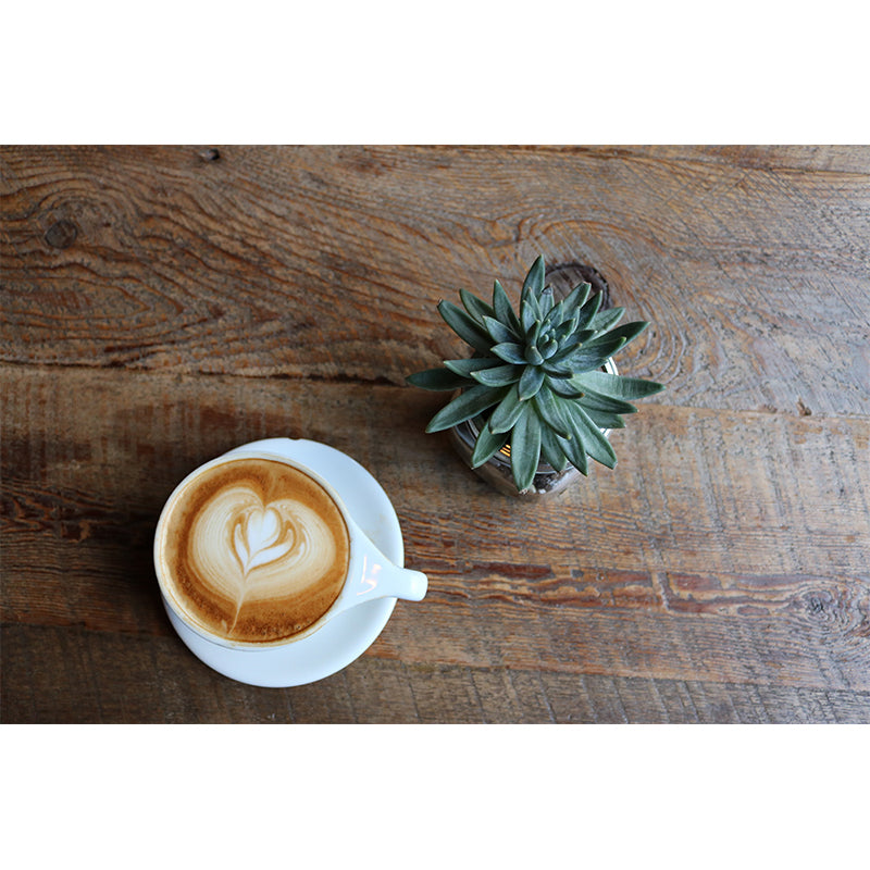 Soft Color Coffee Wall Mural Eco-friendly Modernism Commercial Use Wall Decoration