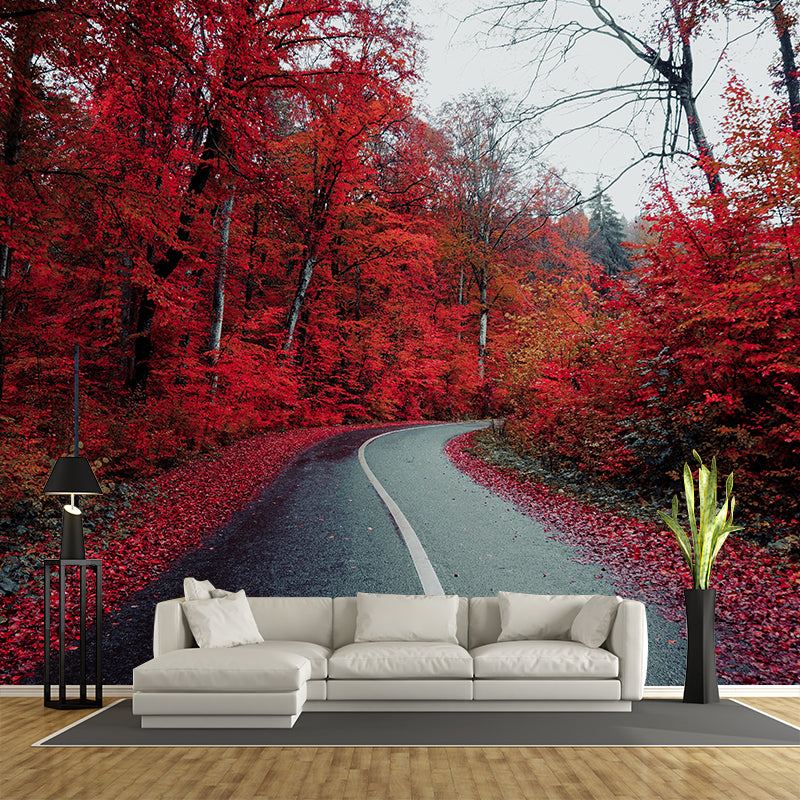 Contemporary Forest Mural Wallpaper Photography Horizontal Mildew Resistant for Bedroom